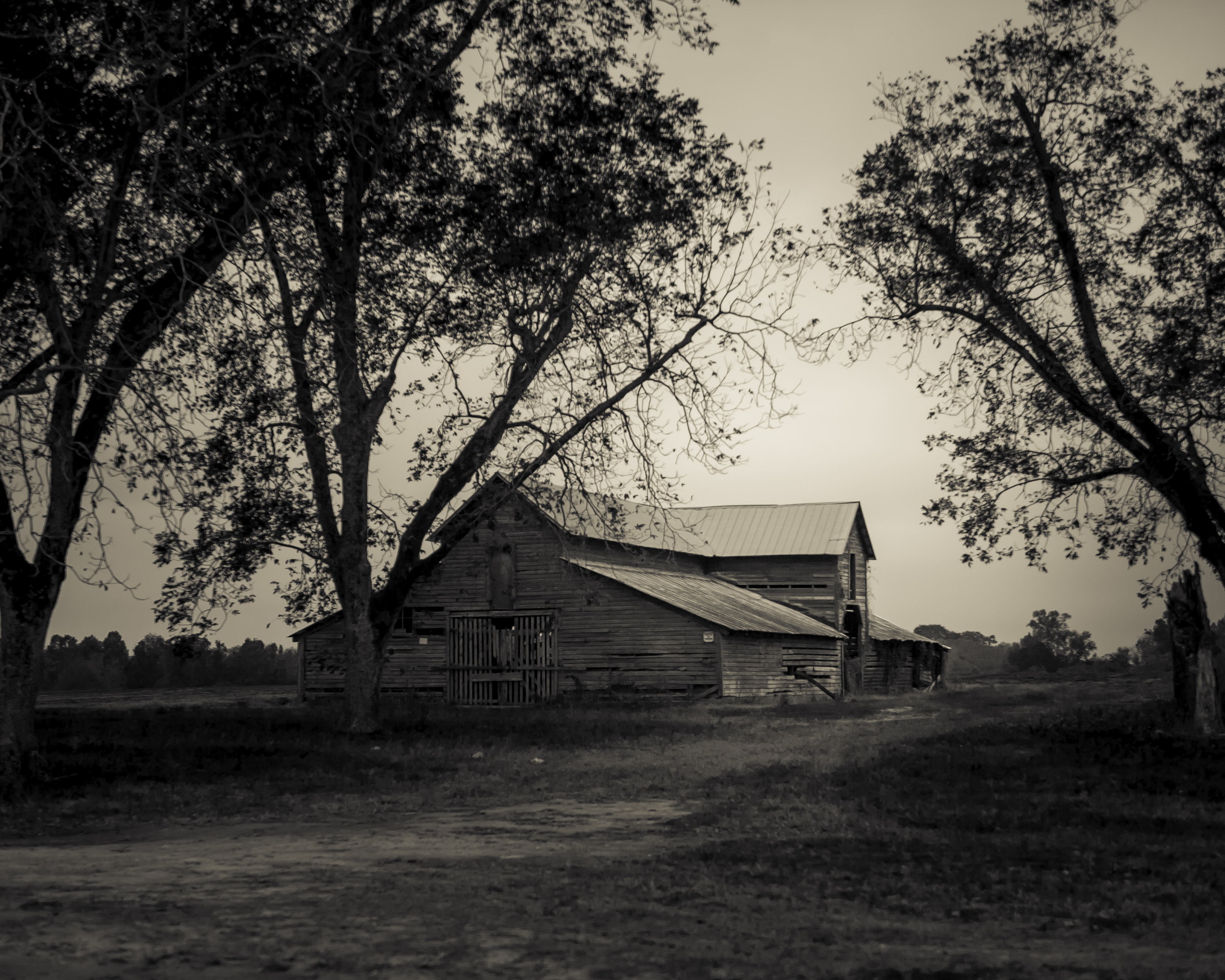 Barn-along-Hwy-431-6896-3