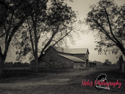 Barn-along-Hwy-431-6896-4