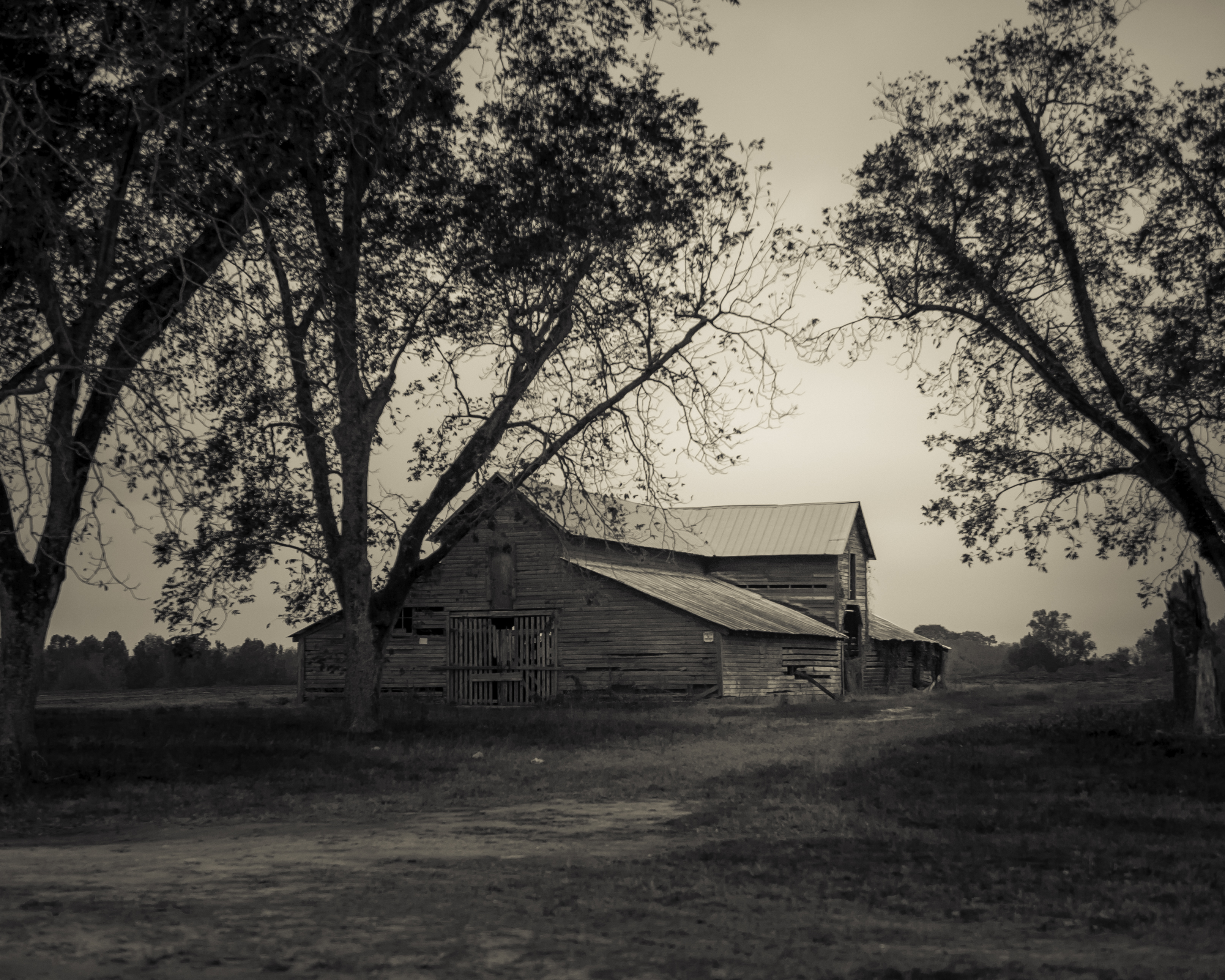 Barn-along-Hwy-431-6896-4