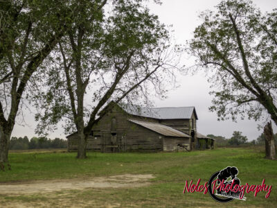 Barn-along-Hwy-431-6896