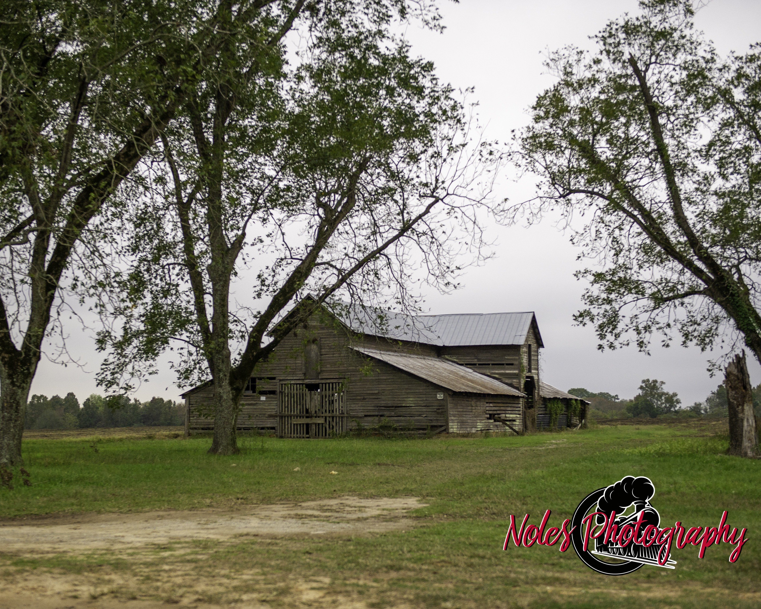Barn-along-Hwy-431-6896