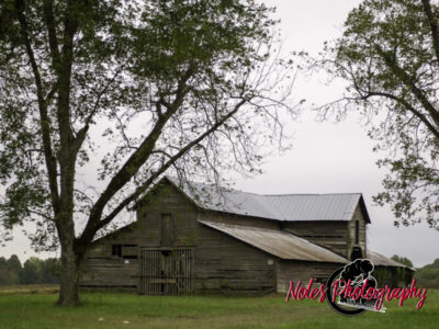 Barn-along-Hwy-431-6901
