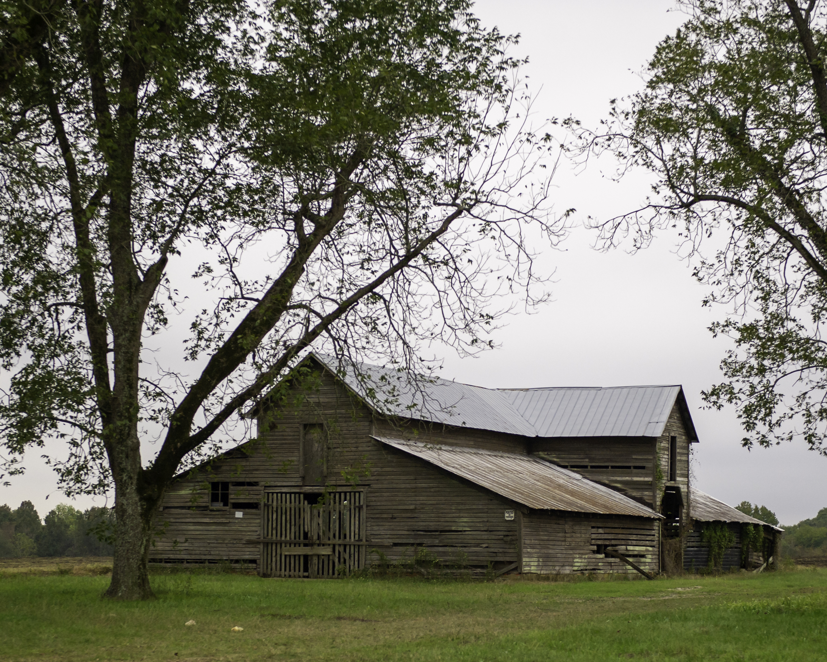 Barn-along-Hwy-431-6901