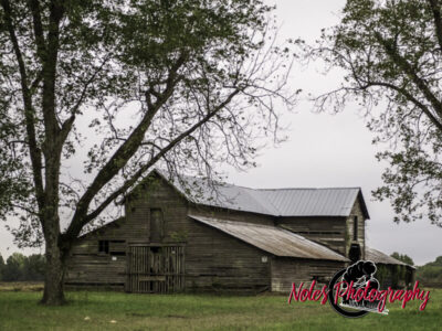 Barn-along-Hwy-431-6904-2