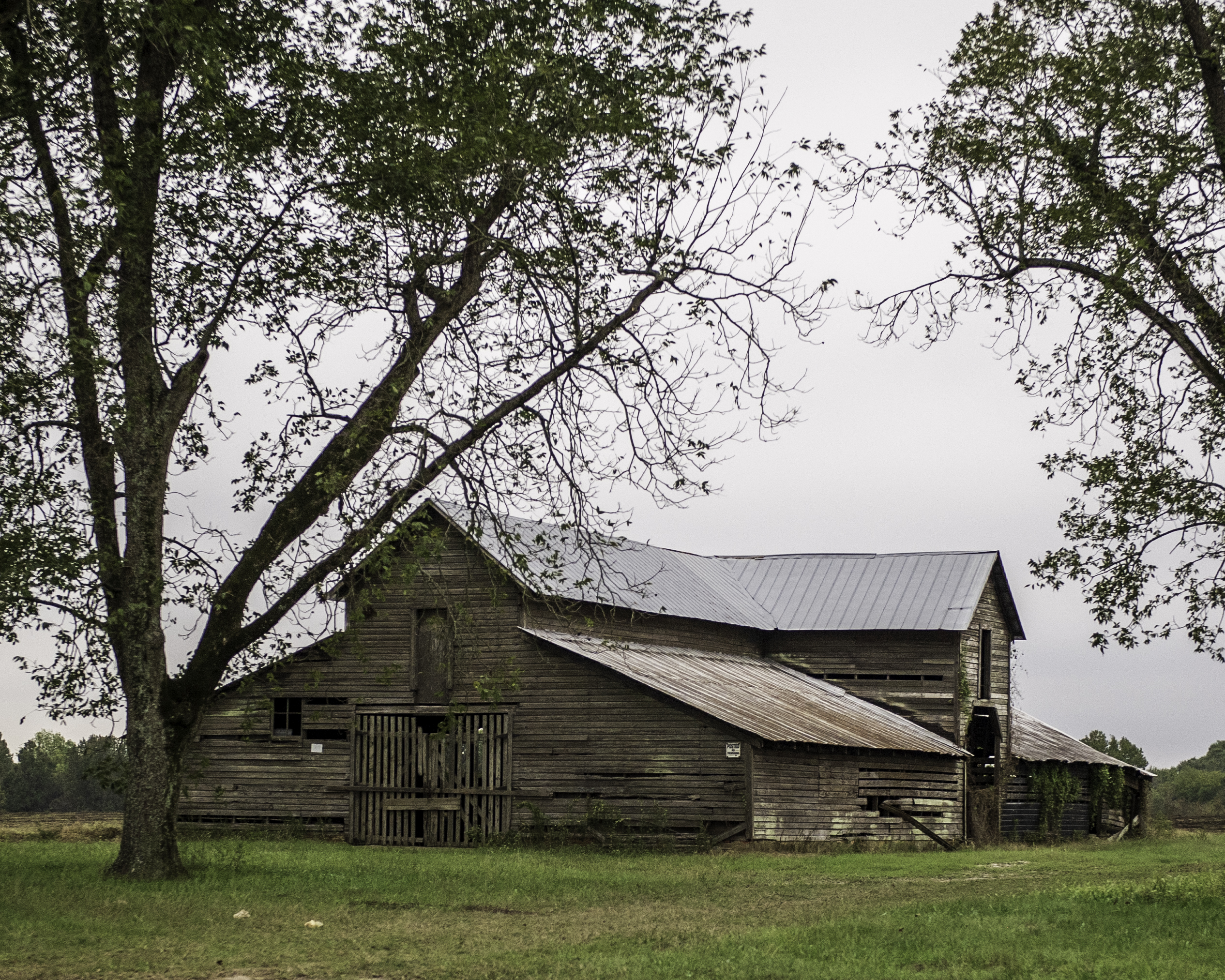 Barn-along-Hwy-431-6904-2