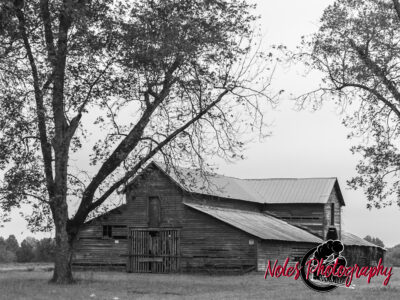 Barn-along-Hwy-431-6904