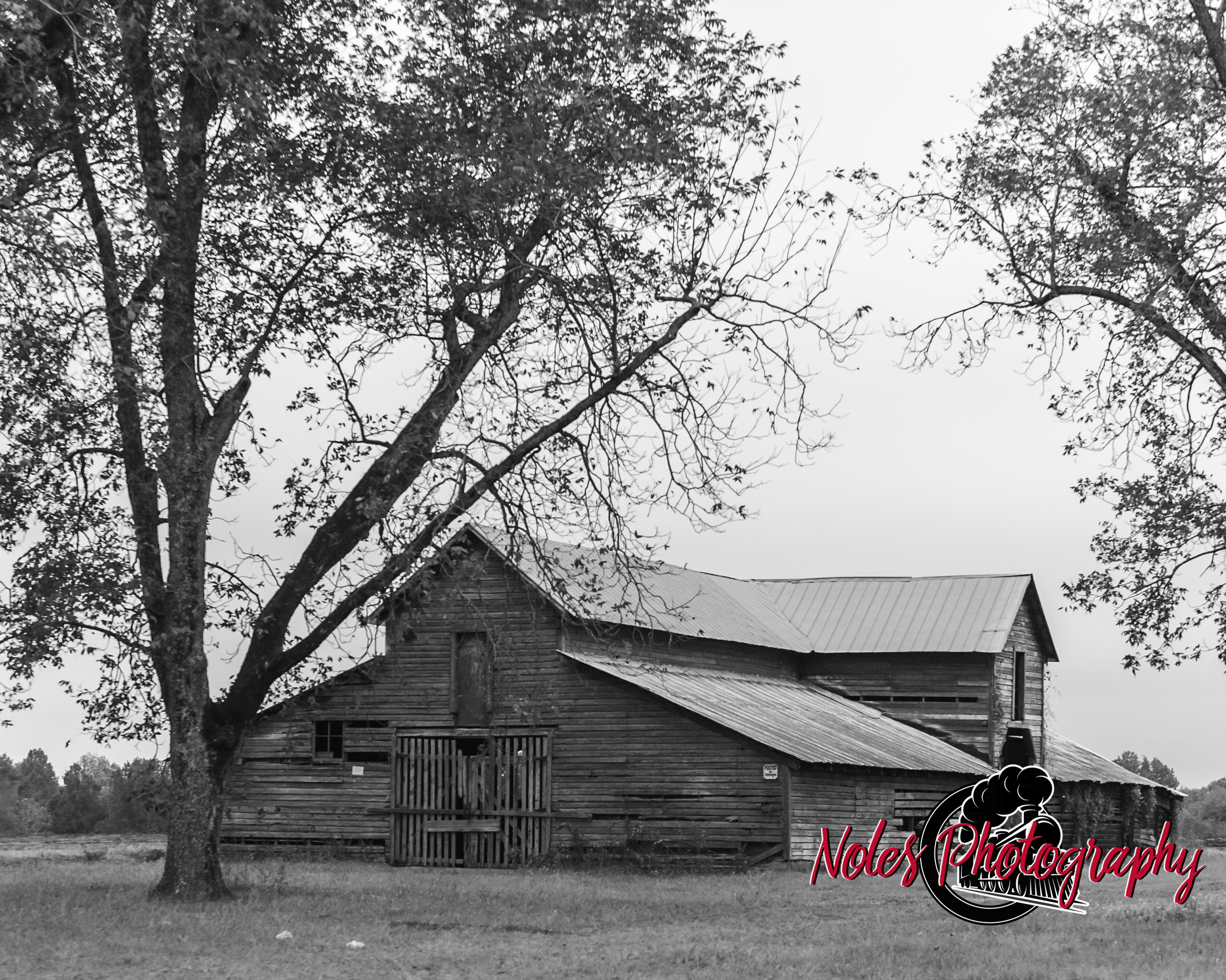 Barn-along-Hwy-431-6904