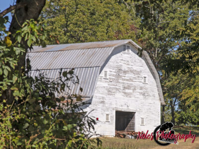 Barn-Hy-431_Wedowee_3435-copy