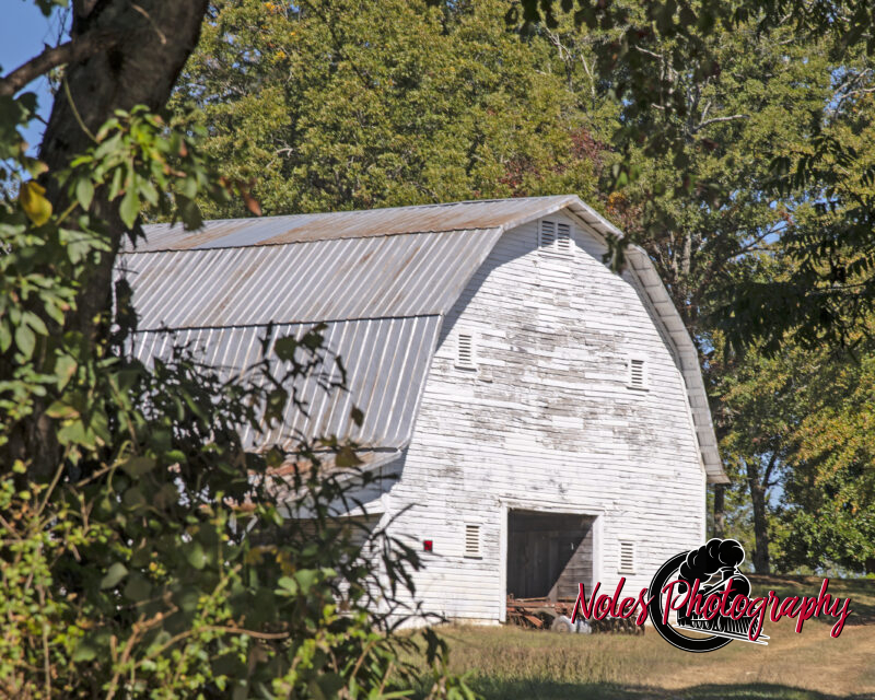 Barn-Hy-431_Wedowee_3435-copy