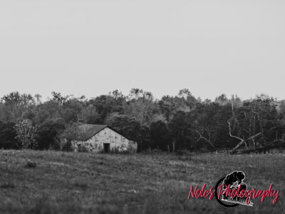 Barn-Lee-Road-61-3968-2