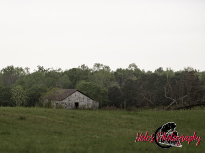 Barn-Lee-Road-61-3968