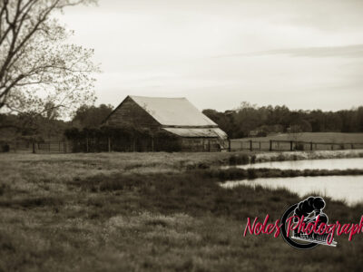 Barn-Lee-Road-61-3979-2