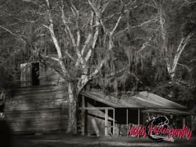 Old-Barn_PVAL-9770