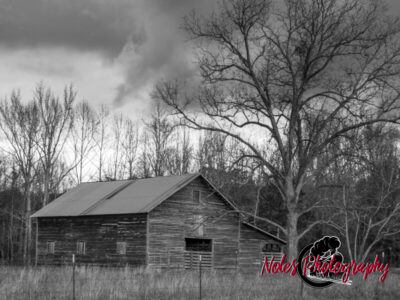 Barn-on-Lee-Co-Rd-45-8043