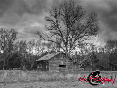 Barn-on-Lee-Co-Rd-45-8046