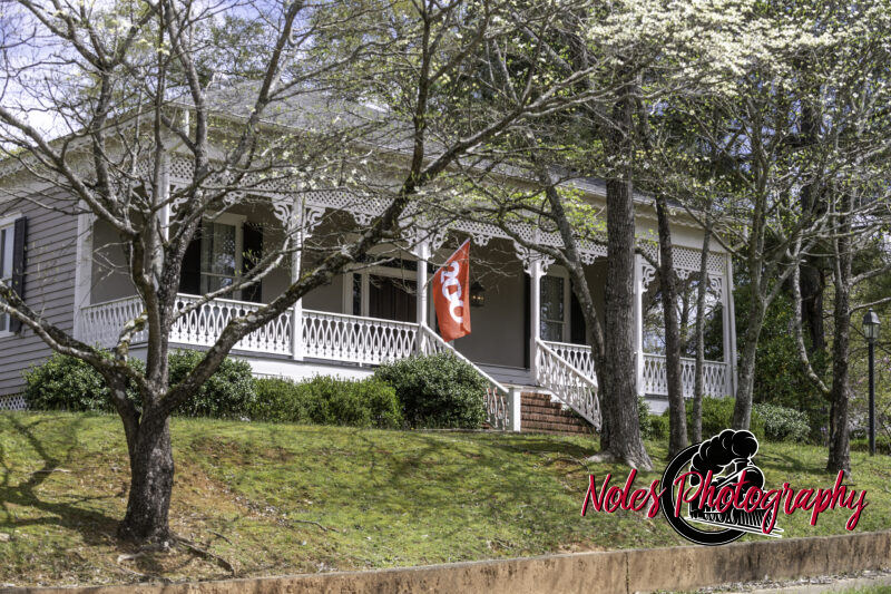 Brownfield-House-3453