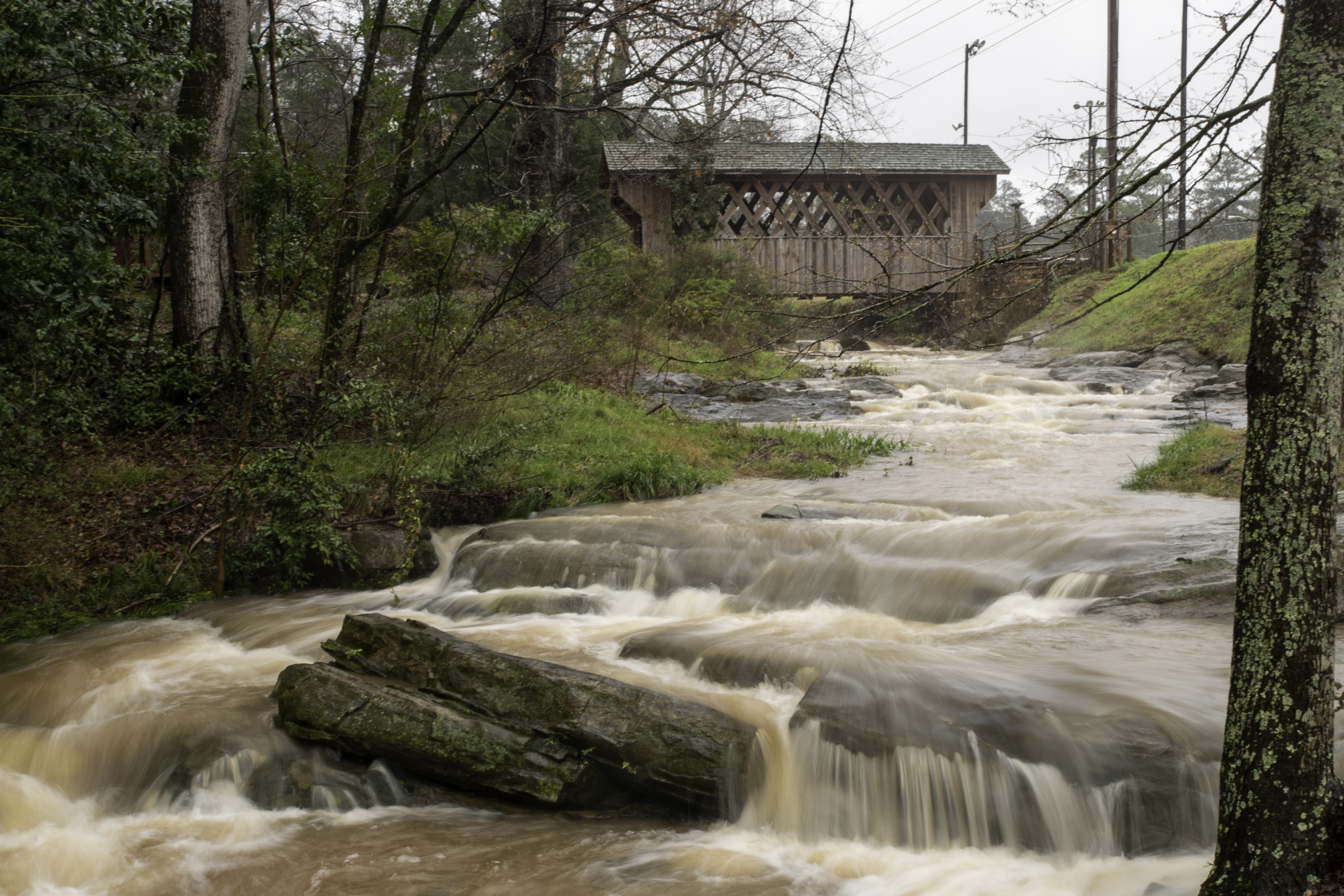 Shotwell-Bridge-6019