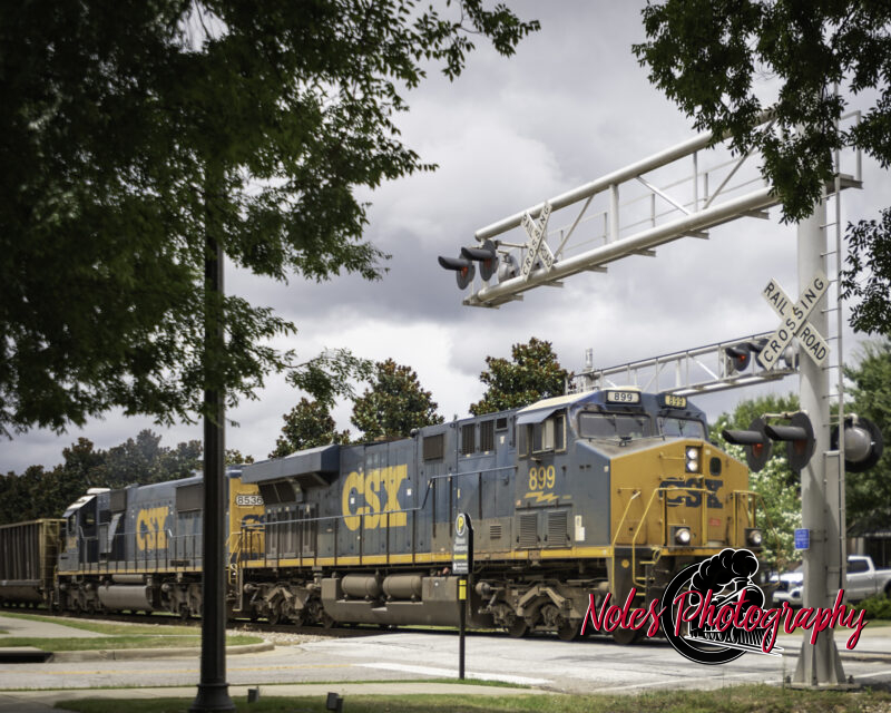 Train-passing-through-Opelika-7258