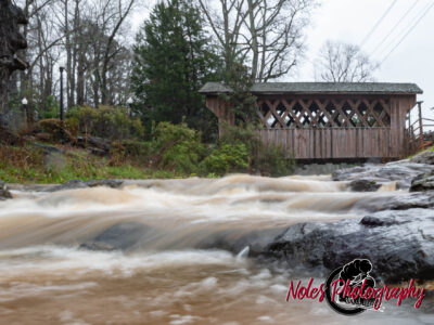 Selma-Shotwell-Bridge-6030