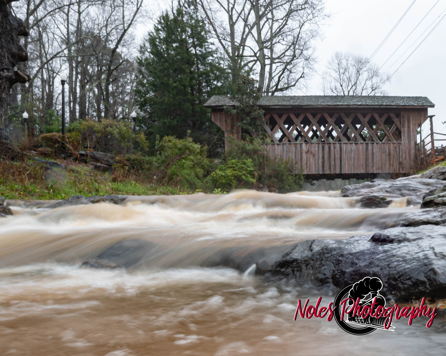 Selma-Shotwell-Bridge-6030