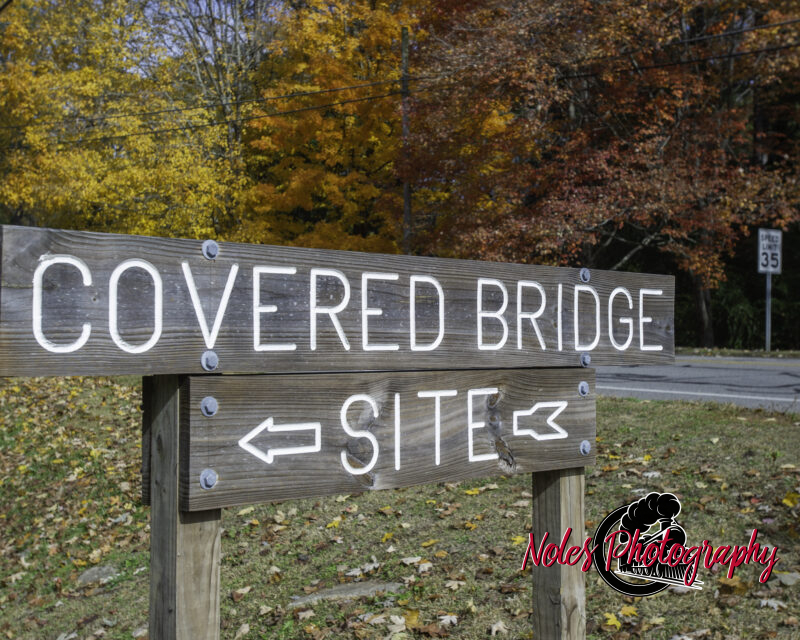 Leaves_RockyBrook-4088