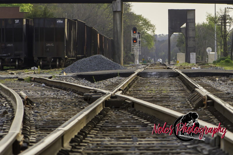 Tracks-in-Opelika-3862