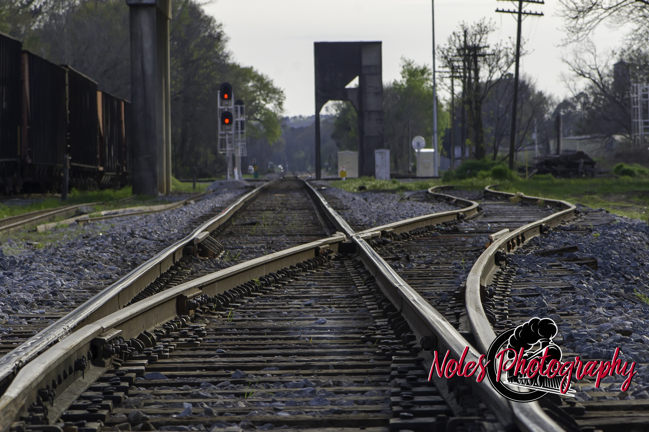 Tracks-in-Opelika-3865
