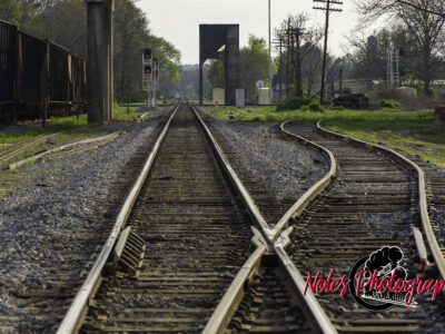 Tracks-in-Opelika-3934