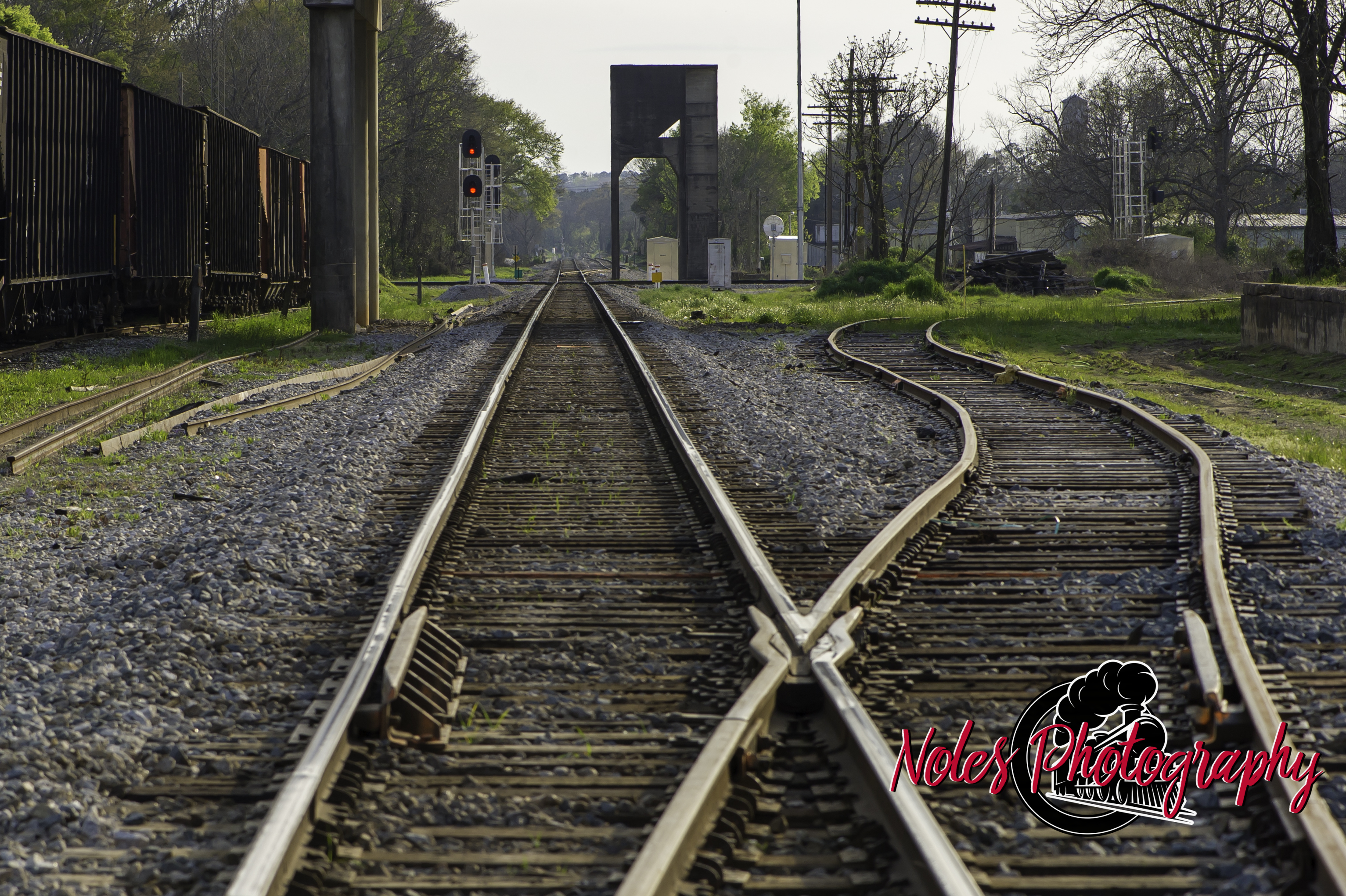 Tracks-in-Opelika-3934