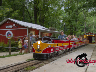 RocketBrook-Rocket-Summer-Swing-24922