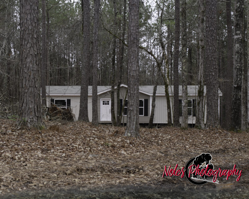 Ward-Pierce-Family-0270