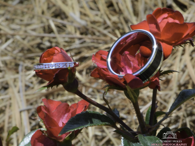 2021-Noles-Crenshaw-Wedding-3018