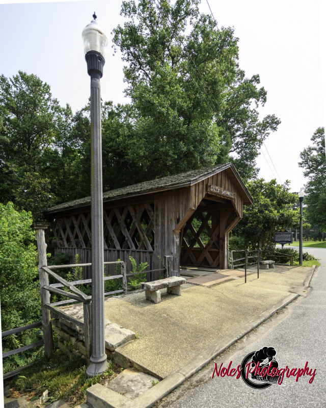 1-Salem-Shotwell-Bridge-5292