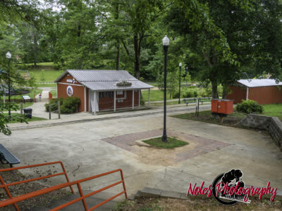 2-Municipal-Monkey-Park-7133