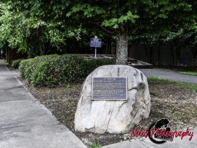 7-Bill-Roberts-Park-The-_Frog_-6682