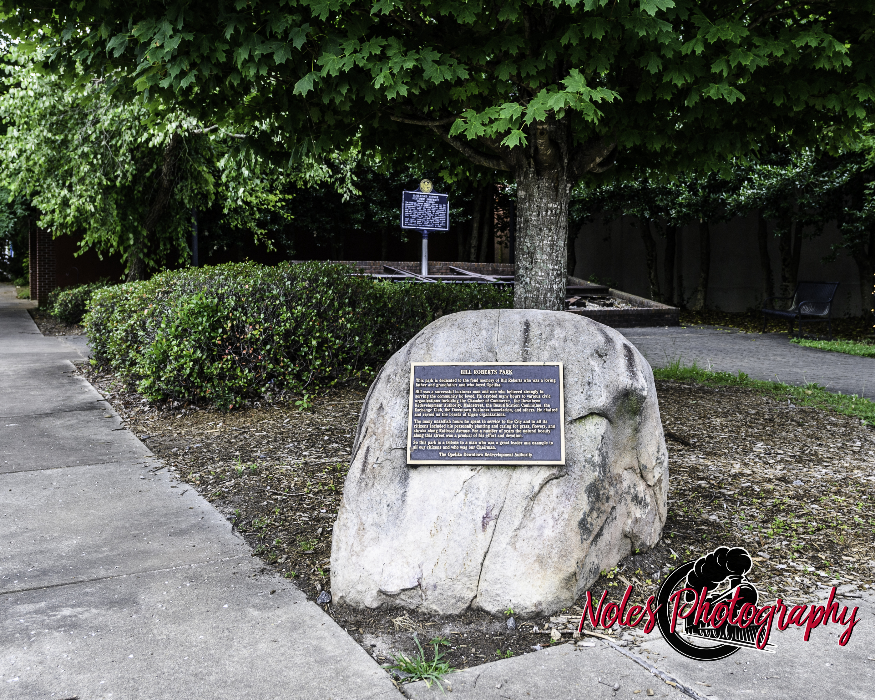 7-Bill-Roberts-Park-The-_Frog_-6682