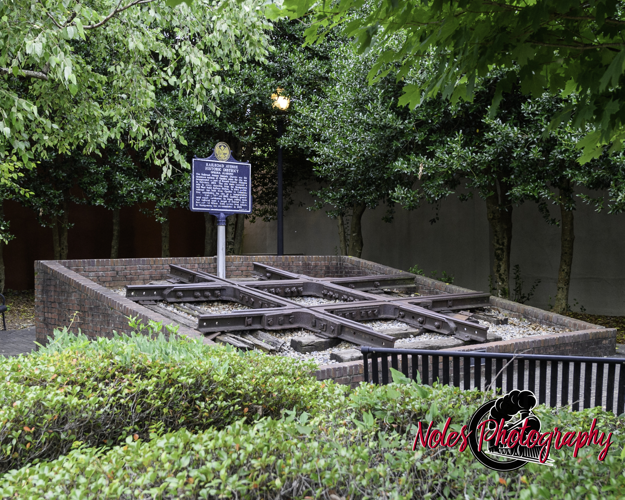 7-Bill-Roberts-Park-The-_Frog_-6687