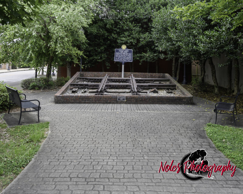 7-Bill-Roberts-Park-The-_Frog_-6695