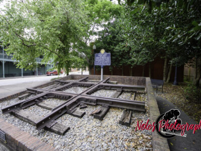 7-Bill-Roberts-Park-The-_Frog_-6701