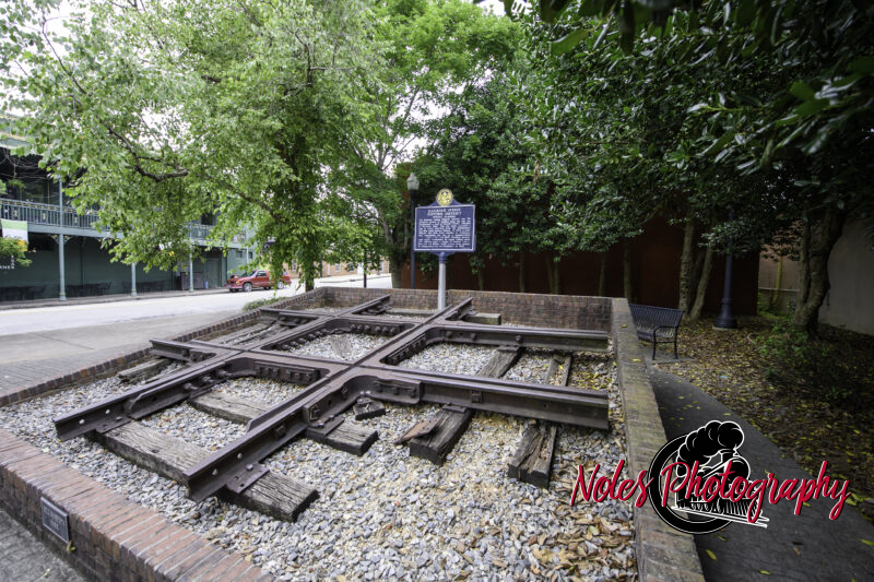 7-Bill-Roberts-Park-The-_Frog_-6701
