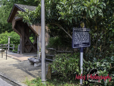 1-Salem-Shotwell-Bridge-5297