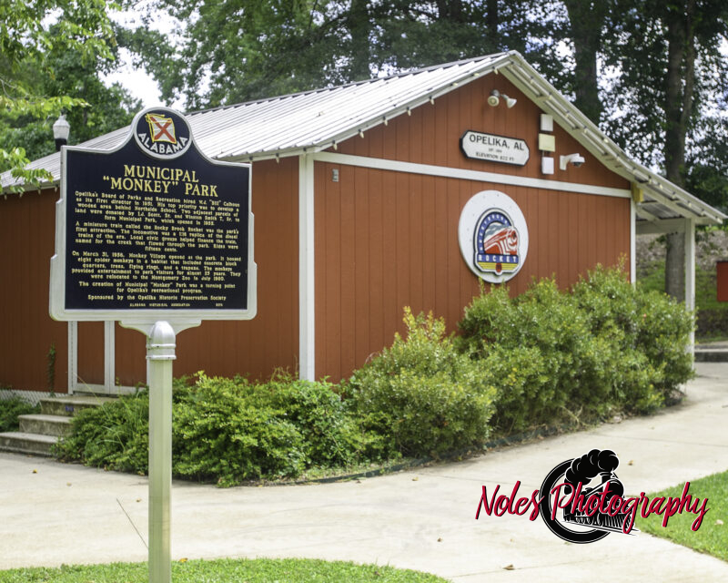 2-Municipal-Monkey-Park-7163