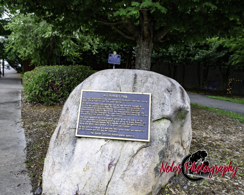 7-Bill-Roberts-Park-The-22Frog22-6680
