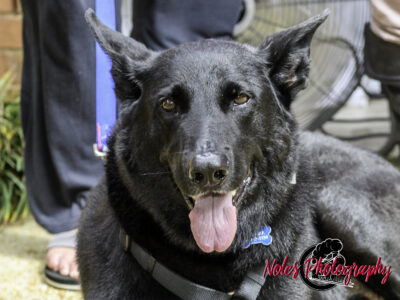 Kevin-Alley-Thomas©NolesPhotography-3543