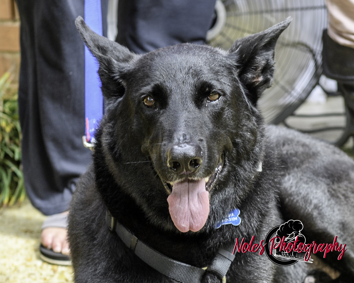 Kevin-Alley-Thomas©NolesPhotography-3543