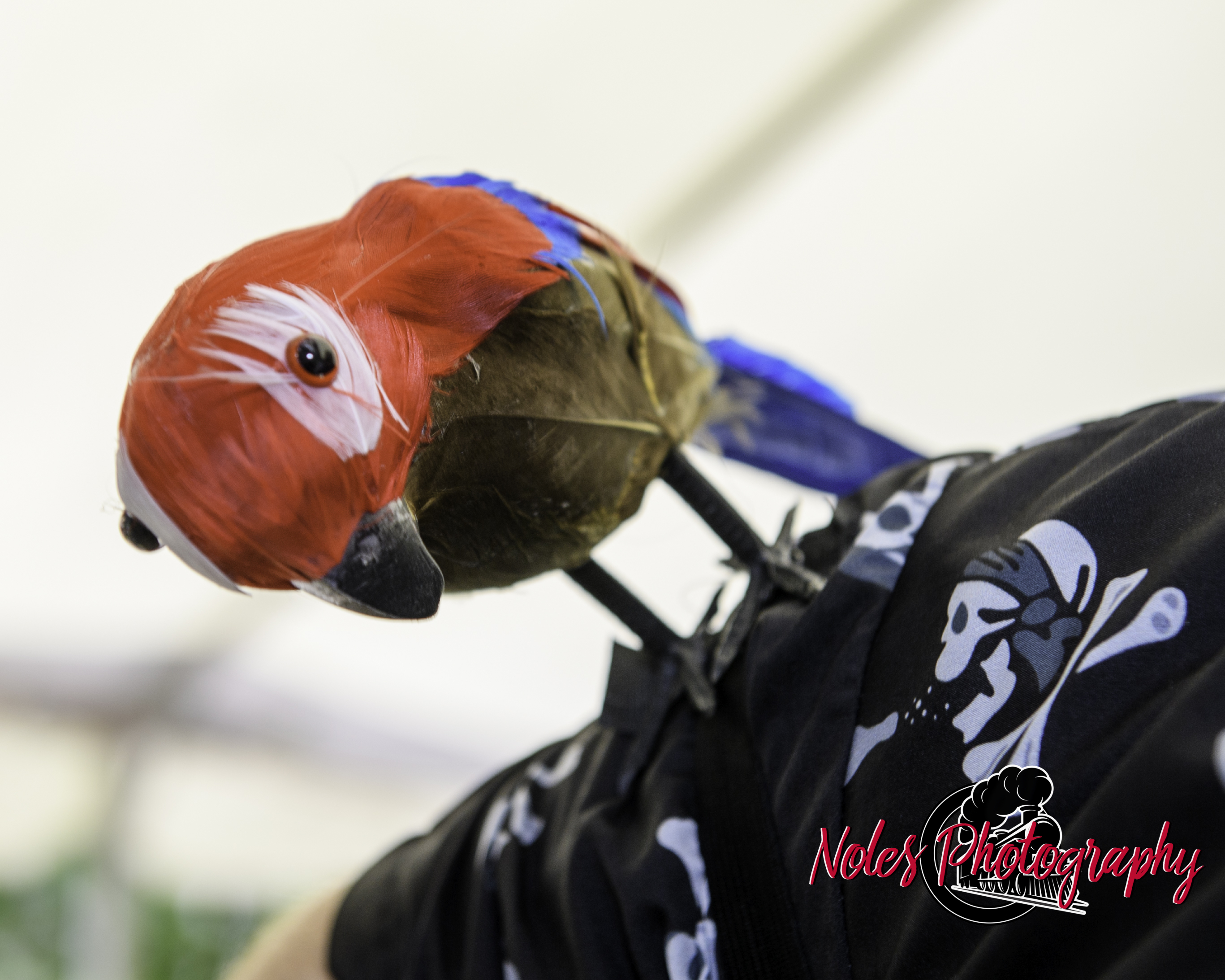 Kevin-Alley-Thomas©NolesPhotography-3563