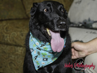 Kevin-Alley-Thomas©NolesPhotography-3623