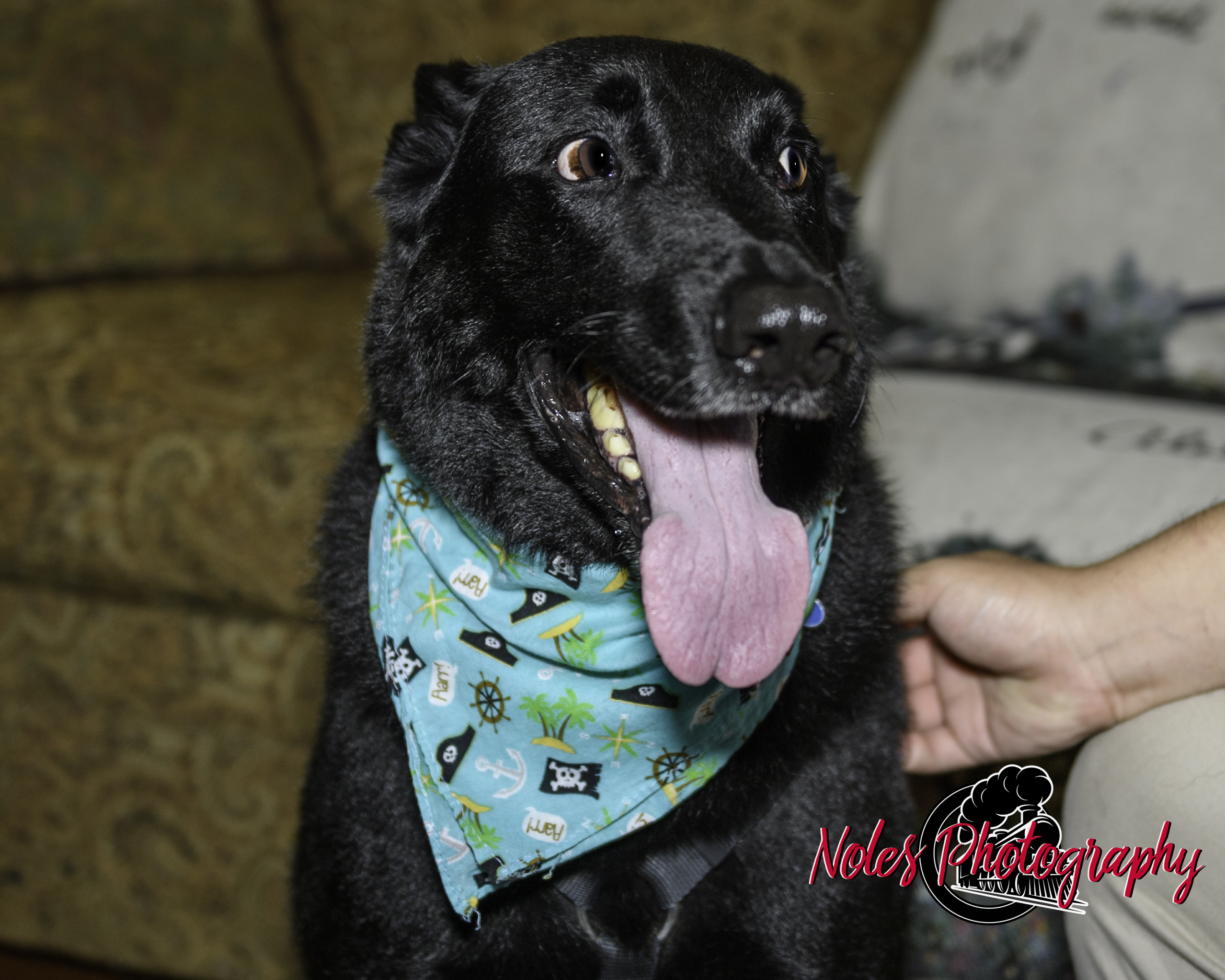 Kevin-Alley-Thomas©NolesPhotography-3623