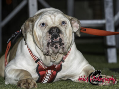 OHS-Homecoming-2021©NolesPhotography-5112