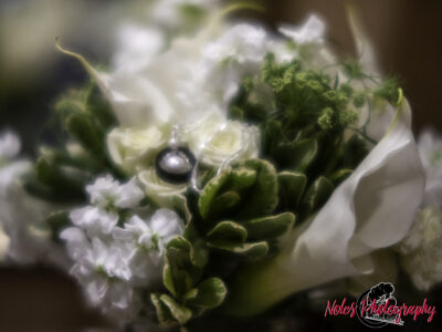 Wedding-Craig-Meredith-Vickers-5370